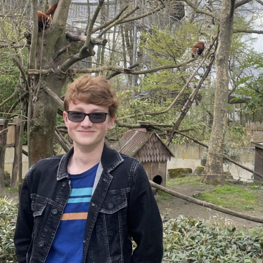 foto van leiding